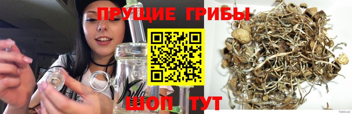 Галлюциногенные грибы Когалым